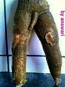 Best cassava medicine for men